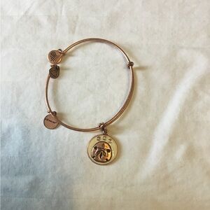 Alex and Ani Gold Adjustable Charm Bracelet
